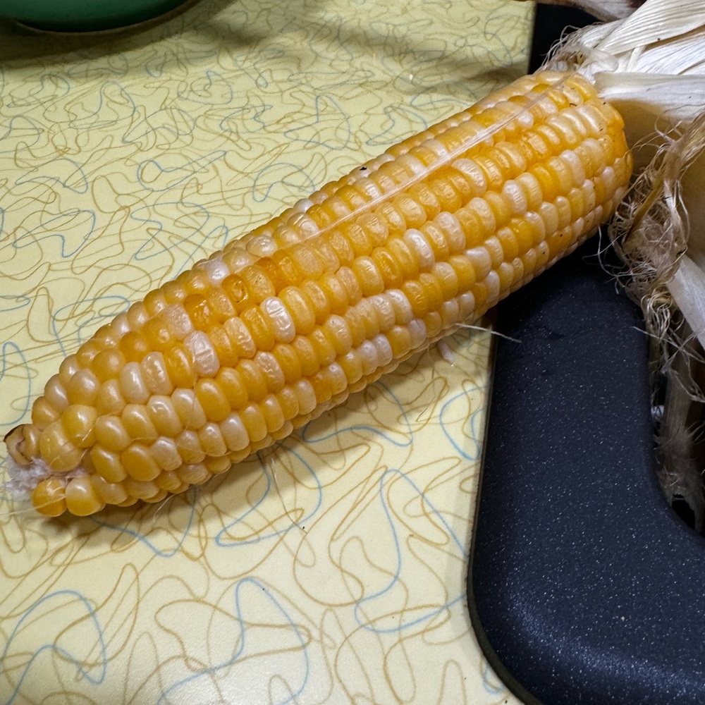 PHILLIP B SHAMPOO AND CONDITIONER RETAIL OVER $150